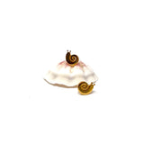 Island Snail Set