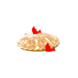 Tangerine Tide Dolphin Studs