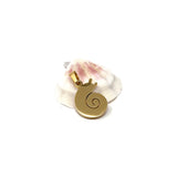 Island Snail Set